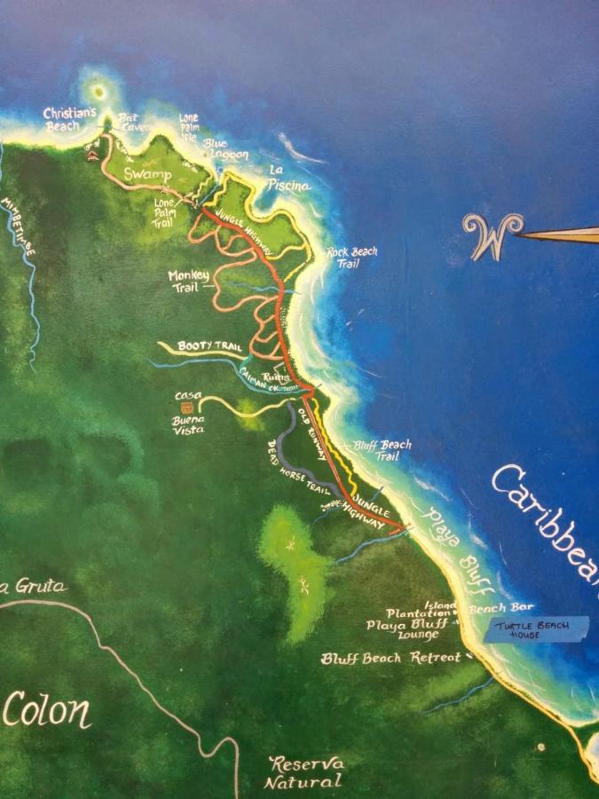 Bluff Beach Retreat ボカス・タウン エクステリア 写真