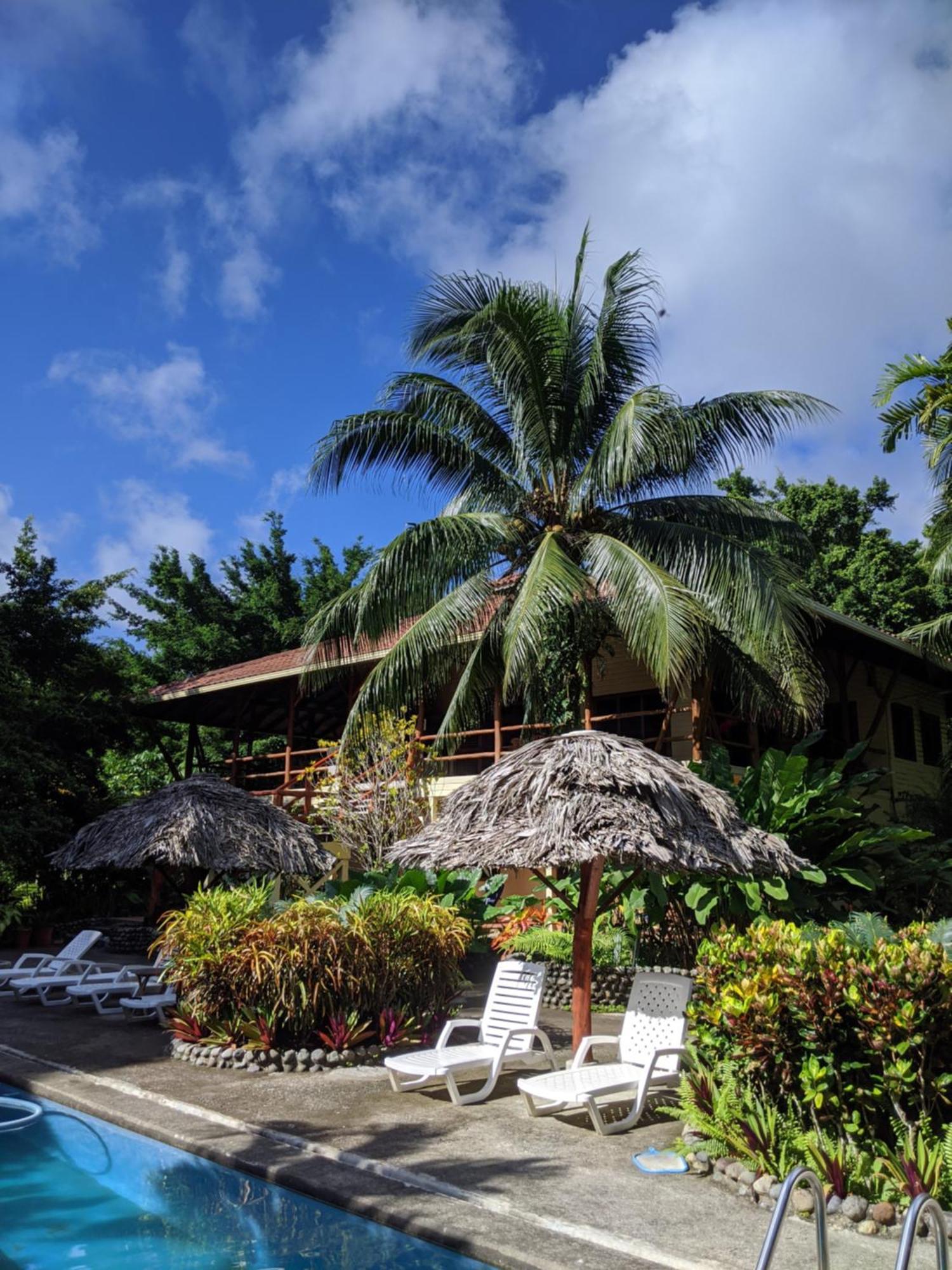 Bluff Beach Retreat ボカス・タウン エクステリア 写真